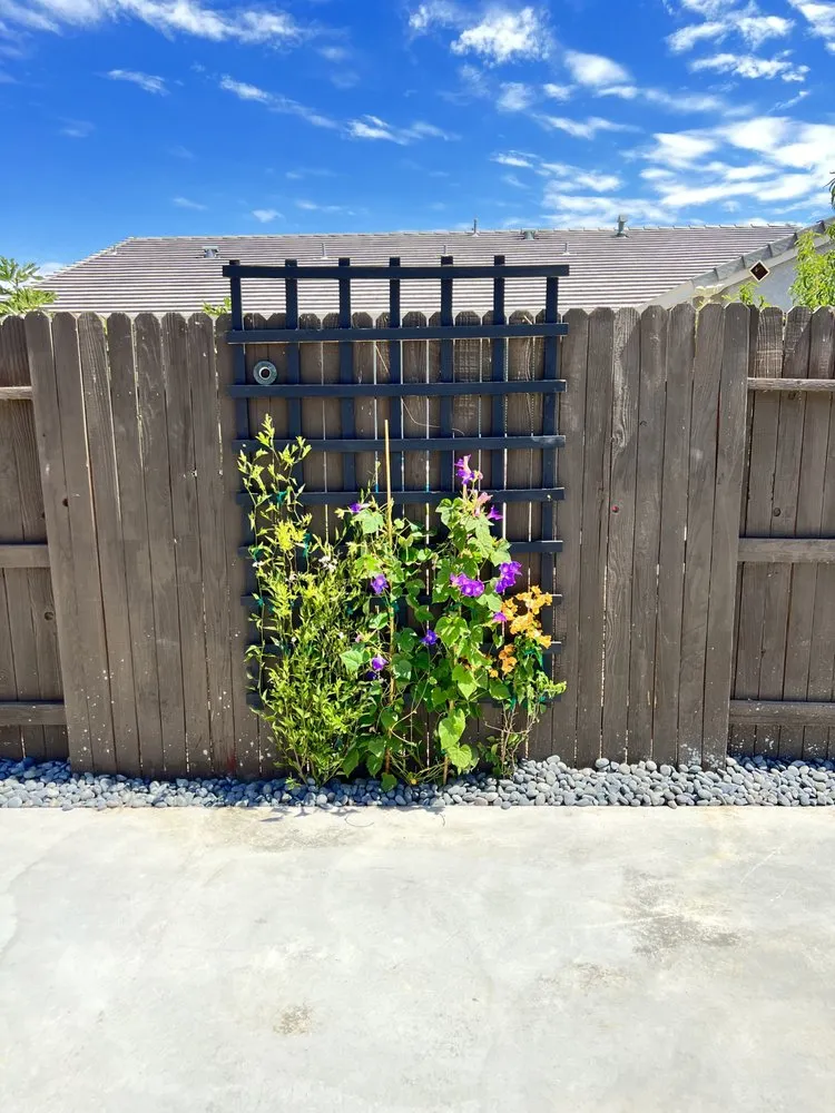 Top-rated residential landscaping for year-round maintenance in Sacramento, CA by Cabrera Concrete & Landscape