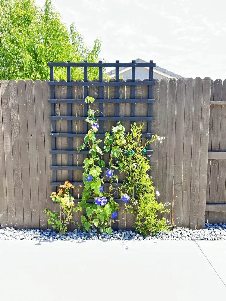 Affordable landscaping services experts serving Sacramento, CA - Cabrera Concrete & Landscape