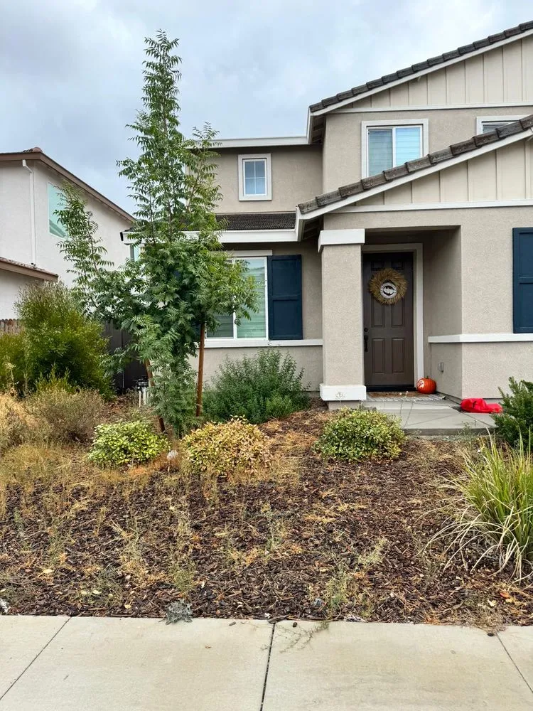 Top-rated lawn care service with custom design across Sacramento, CA - Cabrera Concrete & Landscape