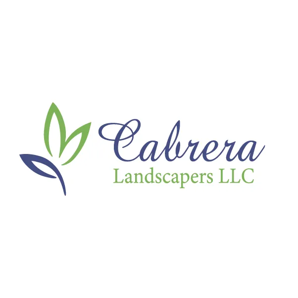Professional landscape installation in Lewisville, TX by Cabrera Landscapers