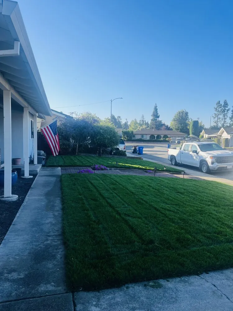 Top-rated landscape design experts serving Hayward, CA - Cabrera Landscaping