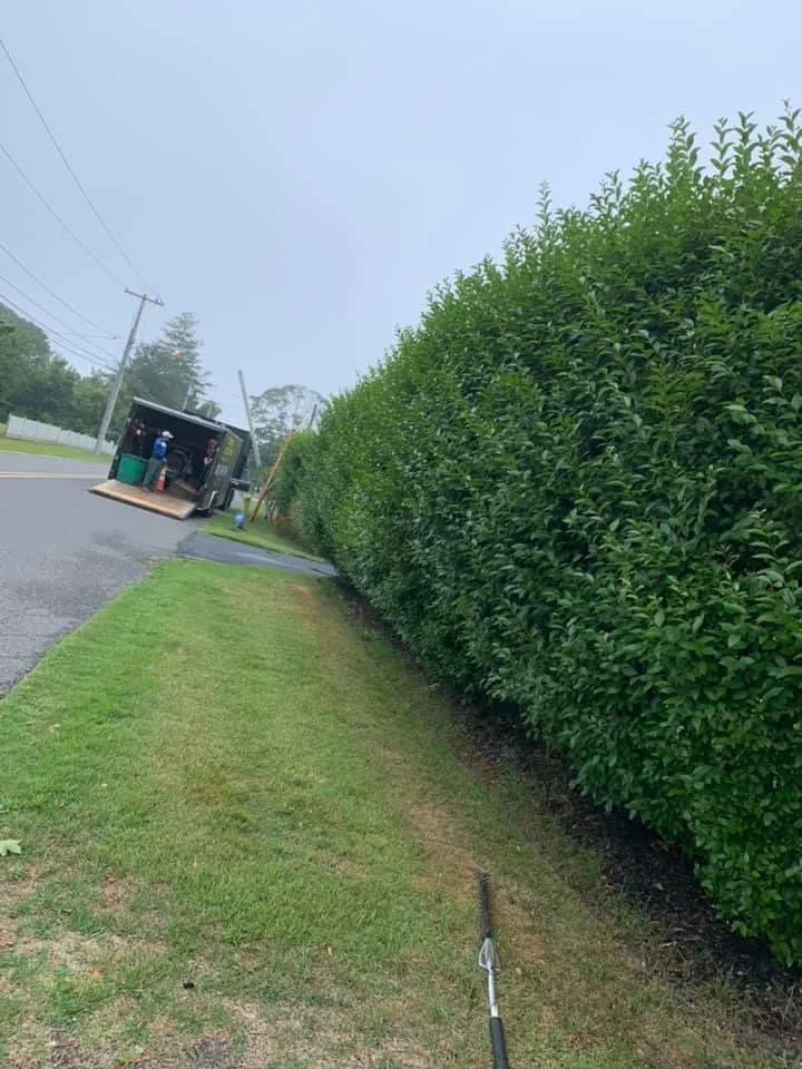 Trusted outdoor landscaping in Mastic, NY by Cabrera landscaping