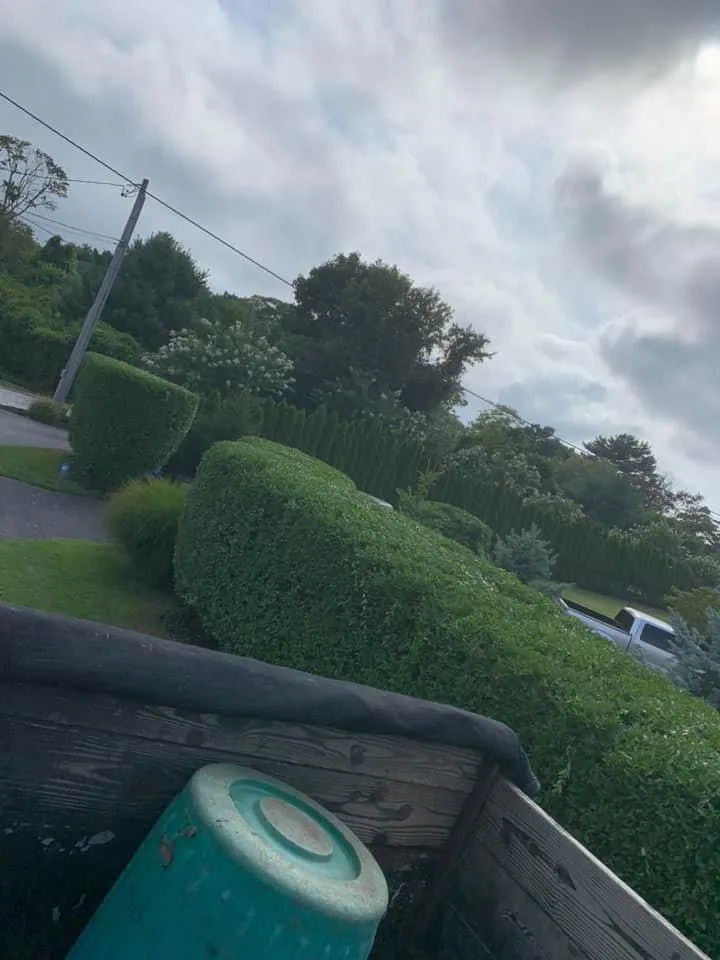 Professional outdoor landscaping for residential properties across Mastic, NY - Cabrera landscaping