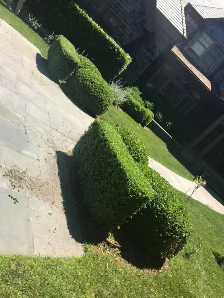 Local landscaping services in Mastic, NY by Cabrera landscaping