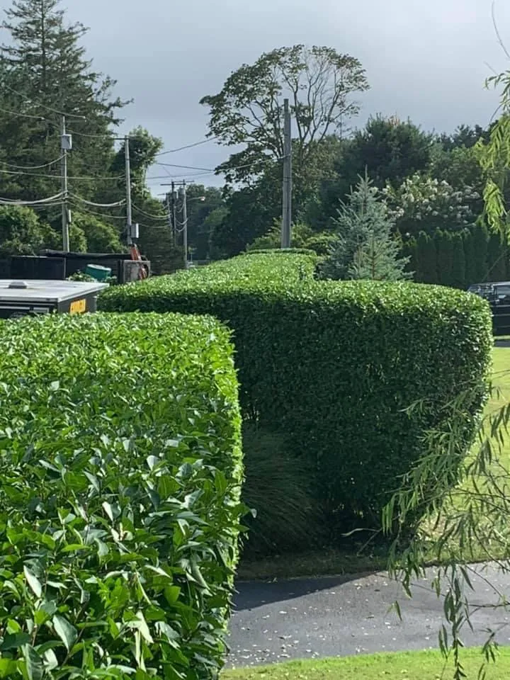 Reliable yard maintenance experts serving Mastic, NY - Cabrera landscaping