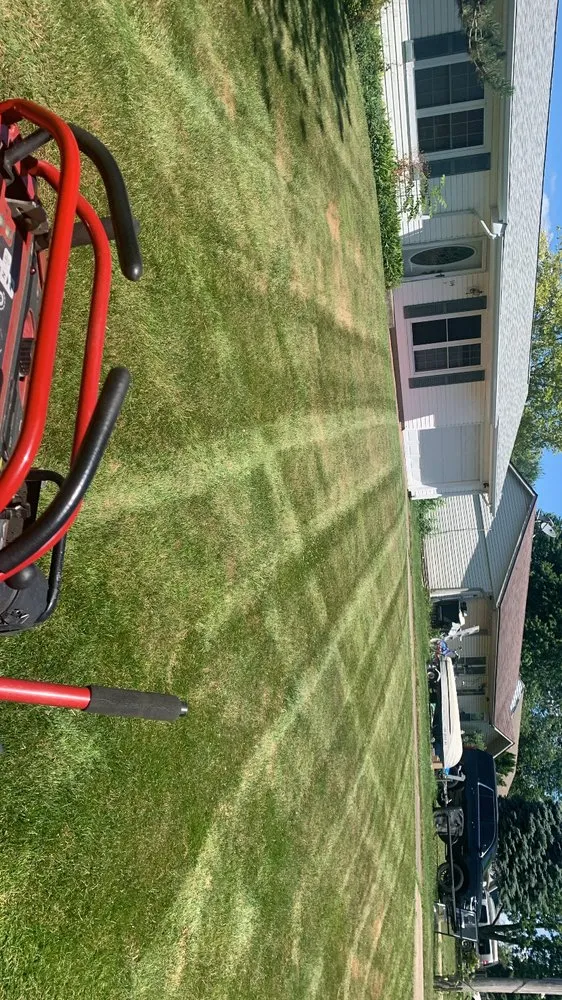 Top-rated yard cleanup service near you in New Carlisle, OH by Cabrera Landscaping