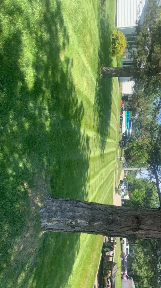 Expert lawn mowing service in New Carlisle, OH by Cabrera Landscaping