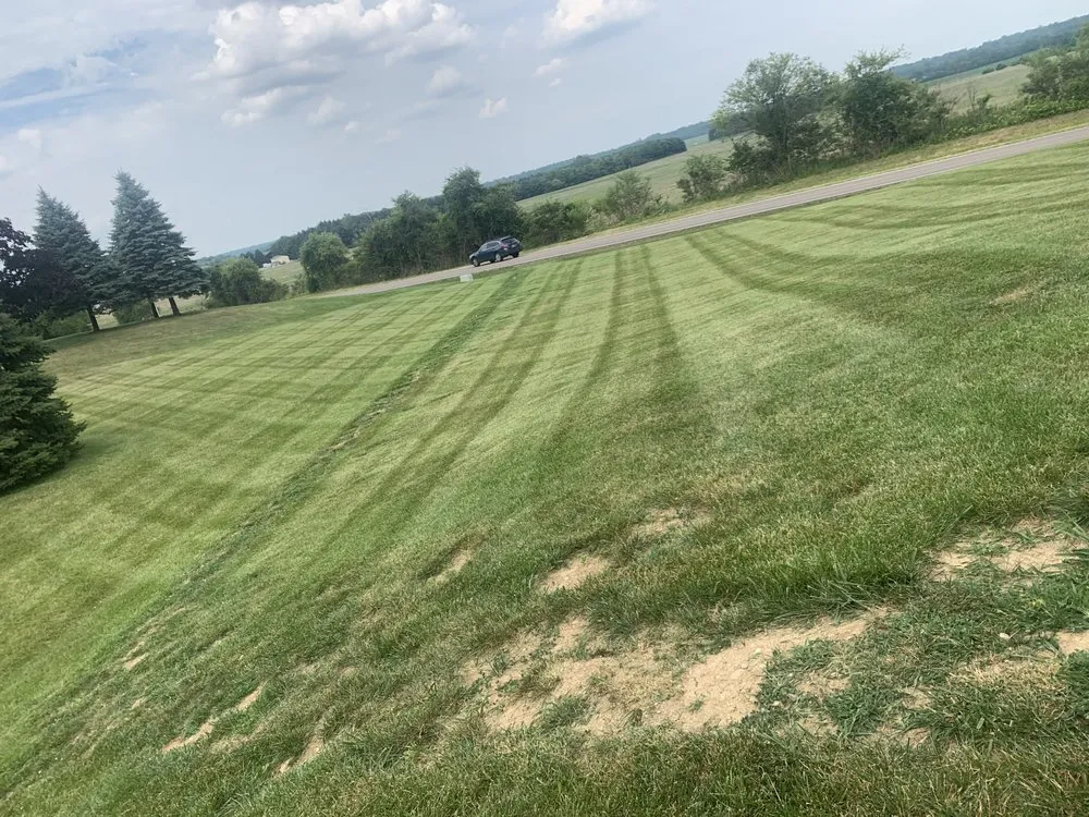 Affordable lawn mowing service near you across New Carlisle, OH - Cabrera Landscaping
