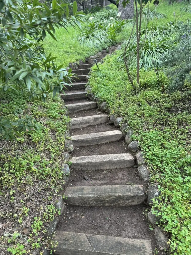 Affordable yard maintenance in Richmond, CA - Cabrera Landscaping