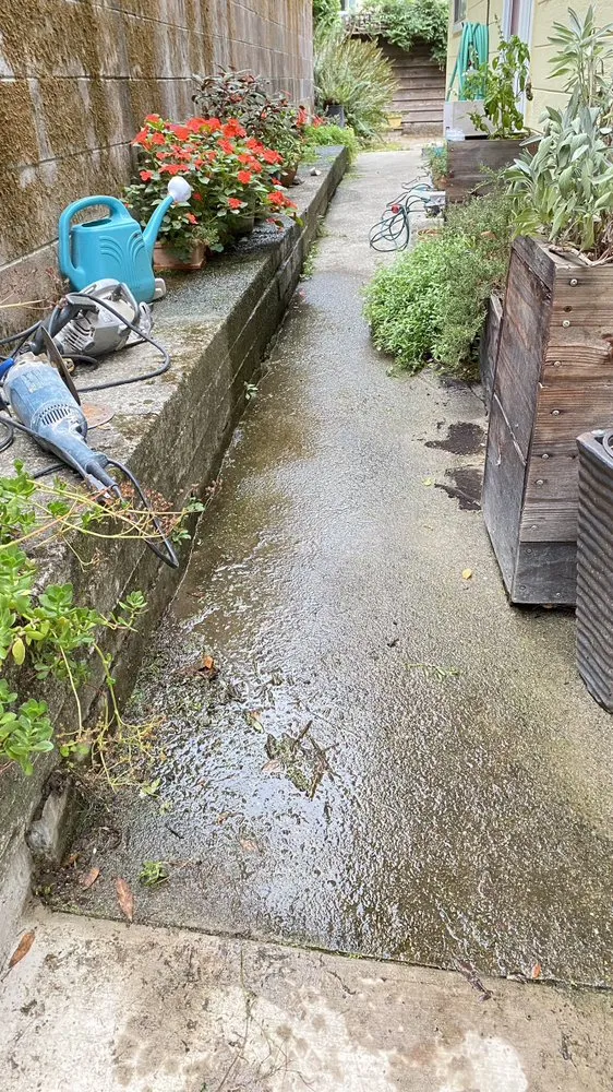 Local outdoor landscaping for homes in Richmond, CA by Cabrera Landscaping