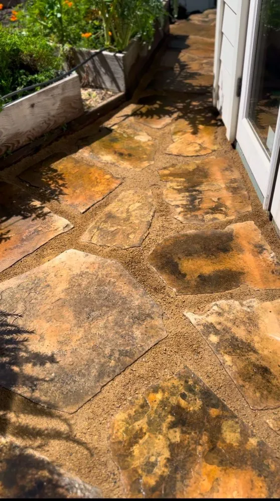 Custom lawn care service experts serving Richmond, CA - Cabrera Landscaping