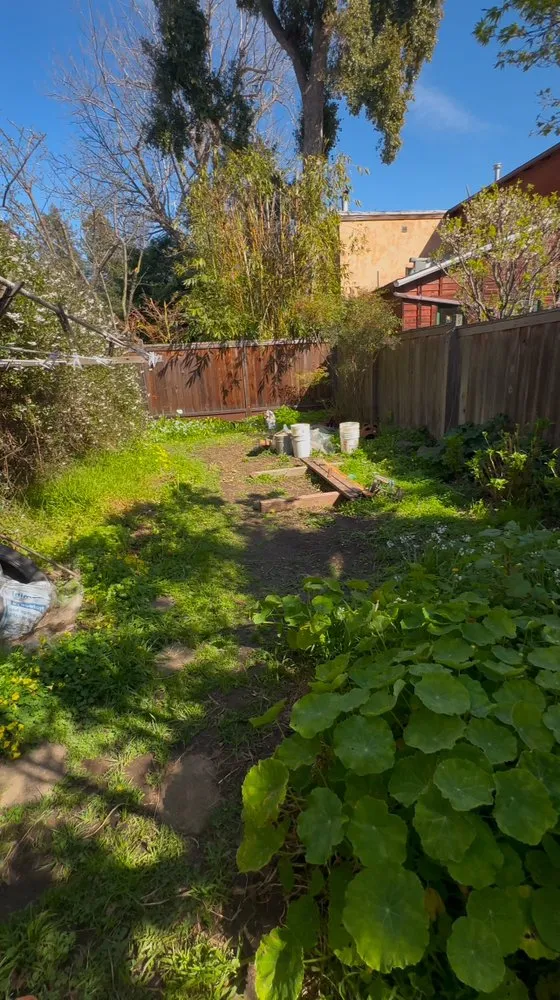 Affordable yard maintenance for beautiful yards in Richmond, CA by Cabrera Landscaping