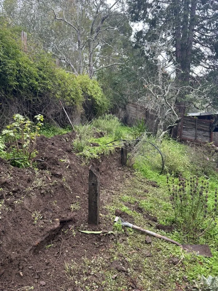 Professional lawn care service with custom design across Richmond, CA - Cabrera Landscaping