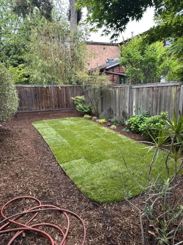 Top-rated landscape design experts serving Richmond, CA - Cabrera Landscaping