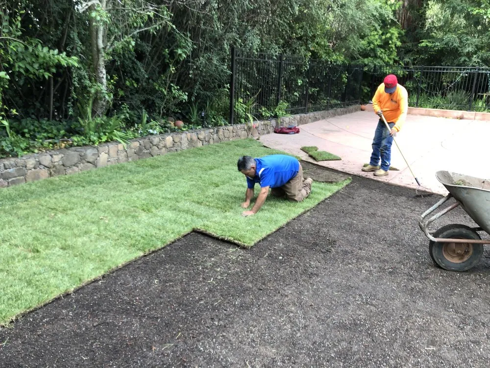 Local landscape installation in Richmond, CA - Cabrera Landscaping