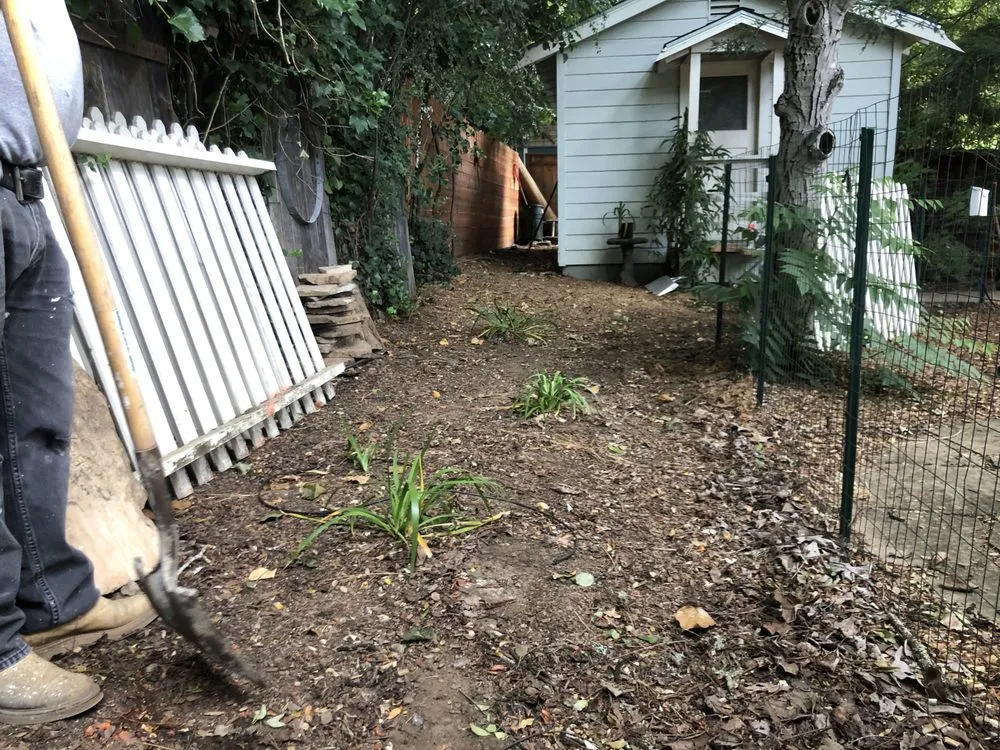 Professional landscape installation in Richmond, CA by Cabrera Landscaping