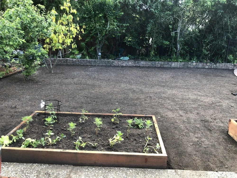 Local landscape design in Richmond, CA - Cabrera Landscaping