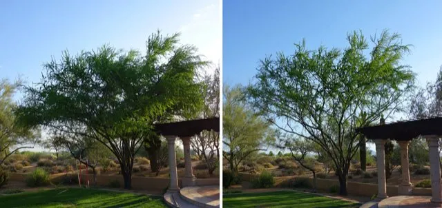 Reliable landscape installation for year-round maintenance across Glendora, CA - Cabreras Gardening Services