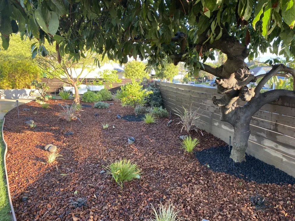 Professional lawn mowing service experts serving Glendora, CA - Cabreras Gardening Services