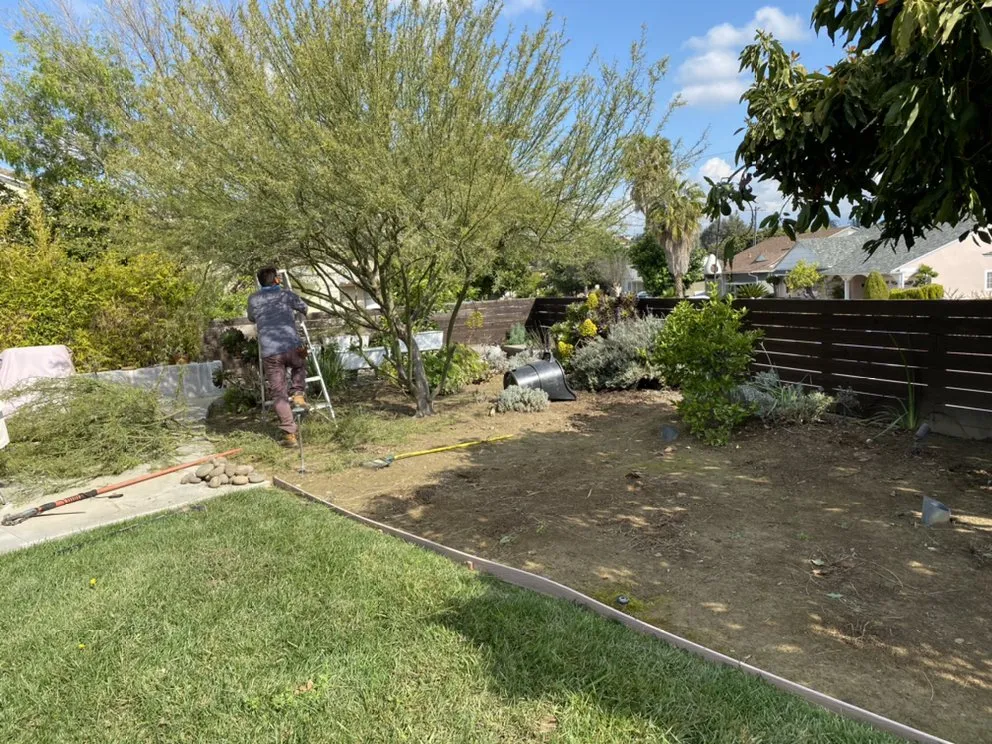 Professional residential landscaping near you across Glendora, CA - Cabreras Gardening Services