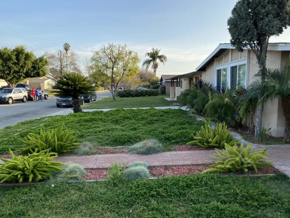 Reliable yard cleanup service in Glendora, CA by Cabreras Gardening Services
