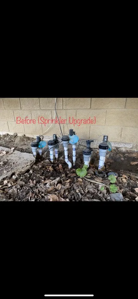 Professional garden landscaping experts serving Glendora, CA - Cabreras Gardening Services