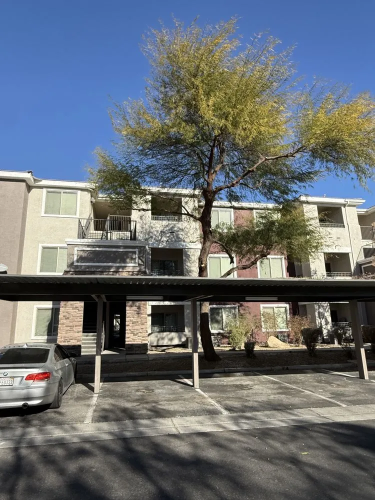 Professional landscaping services for homes in Las Vegas, NV by Cabrera’s landscape