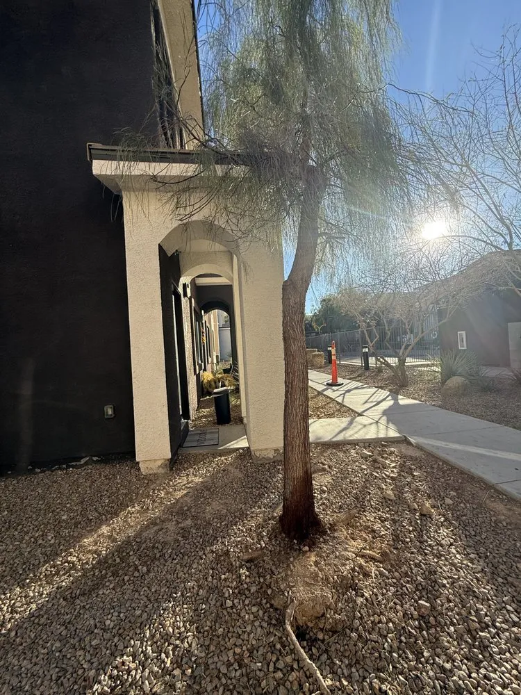 Local garden landscaping in Las Vegas, NV - Cabrera’s landscape