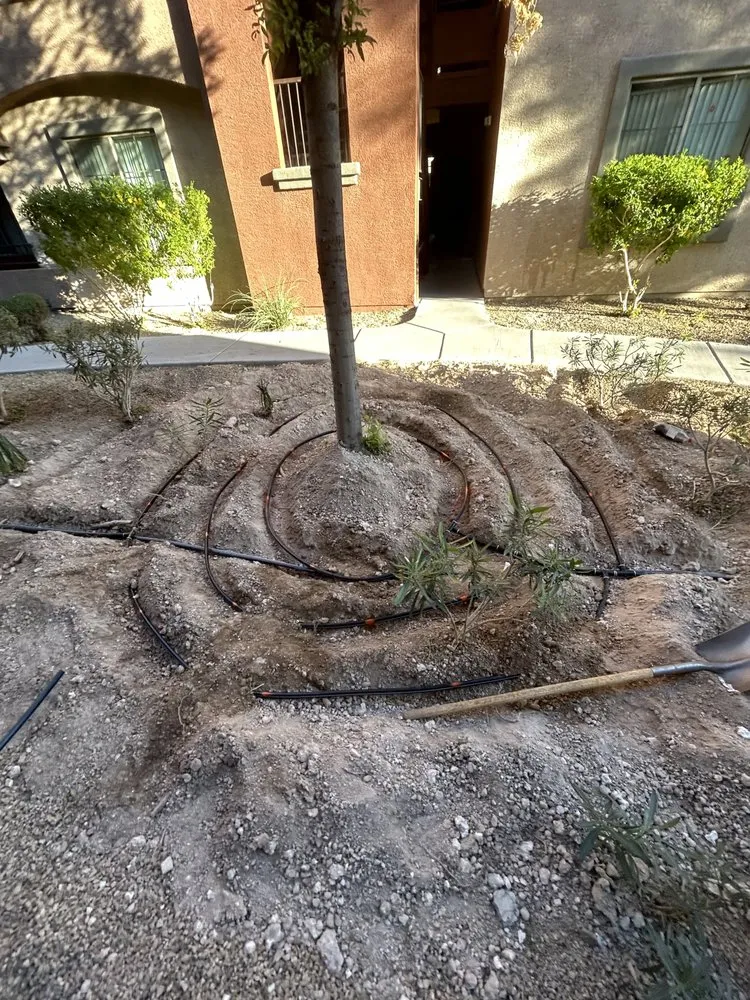 Expert landscape design experts serving Las Vegas, NV - Cabrera’s landscape