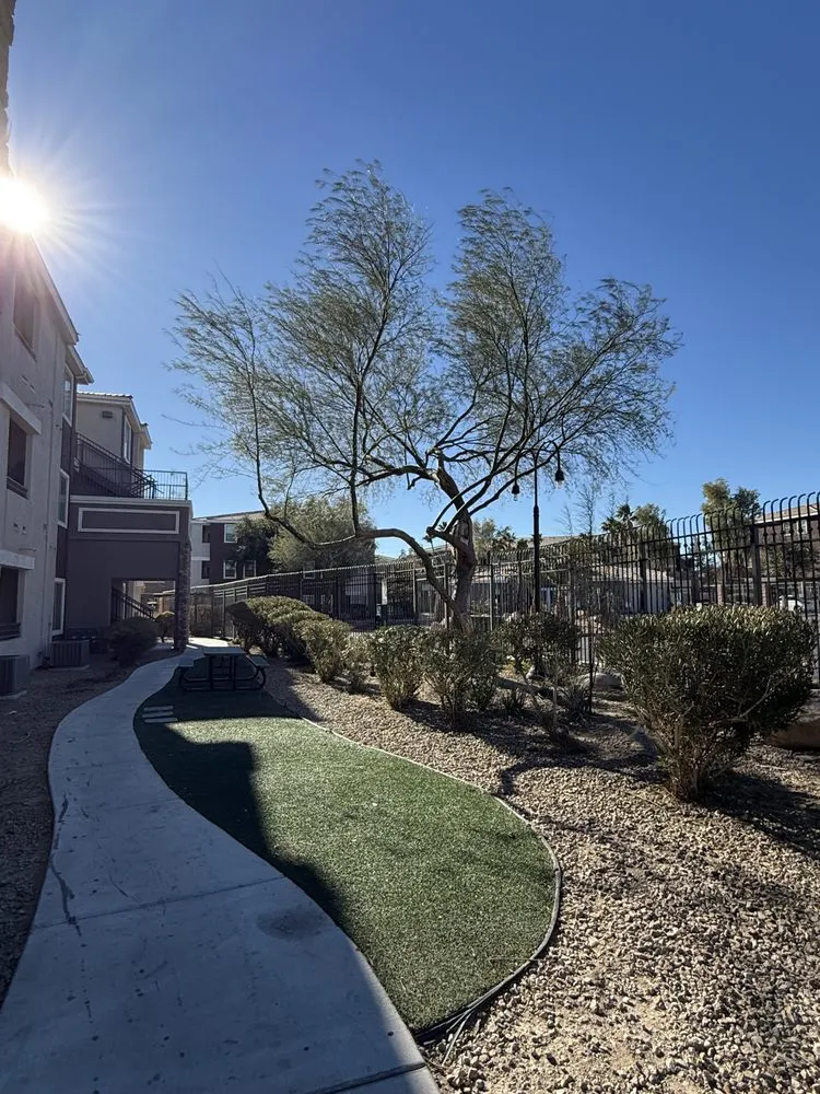 Expert lawn mowing service for beautiful yards across Las Vegas, NV - Cabrera’s landscape
