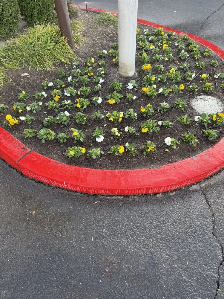 Expert garden landscaping in Las Vegas, NV by Cabrera’s landscape