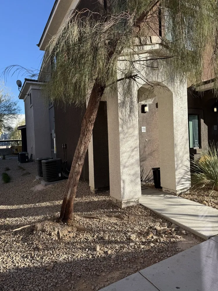 Expert yard cleanup service for residential properties in Las Vegas, NV by Cabrera’s landscape