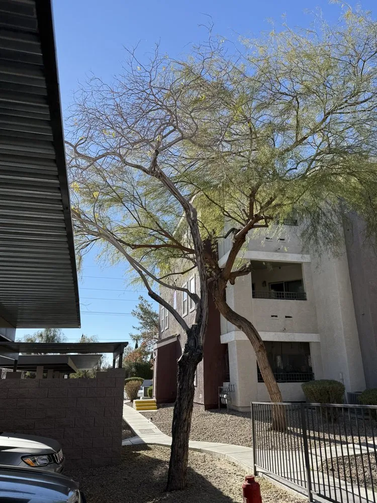 Affordable residential landscaping for residential properties across Las Vegas, NV - Cabrera’s landscape