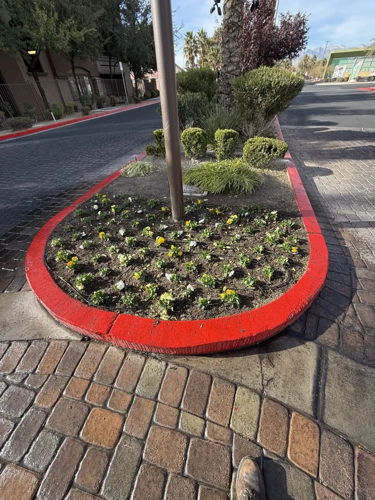 Expert lawn mowing service in Las Vegas, NV - Cabrera’s landscape