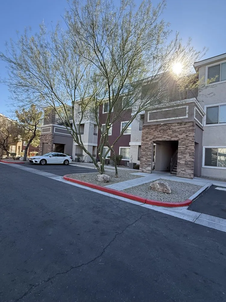 Custom yard maintenance experts serving Las Vegas, NV - Cabrera’s landscape