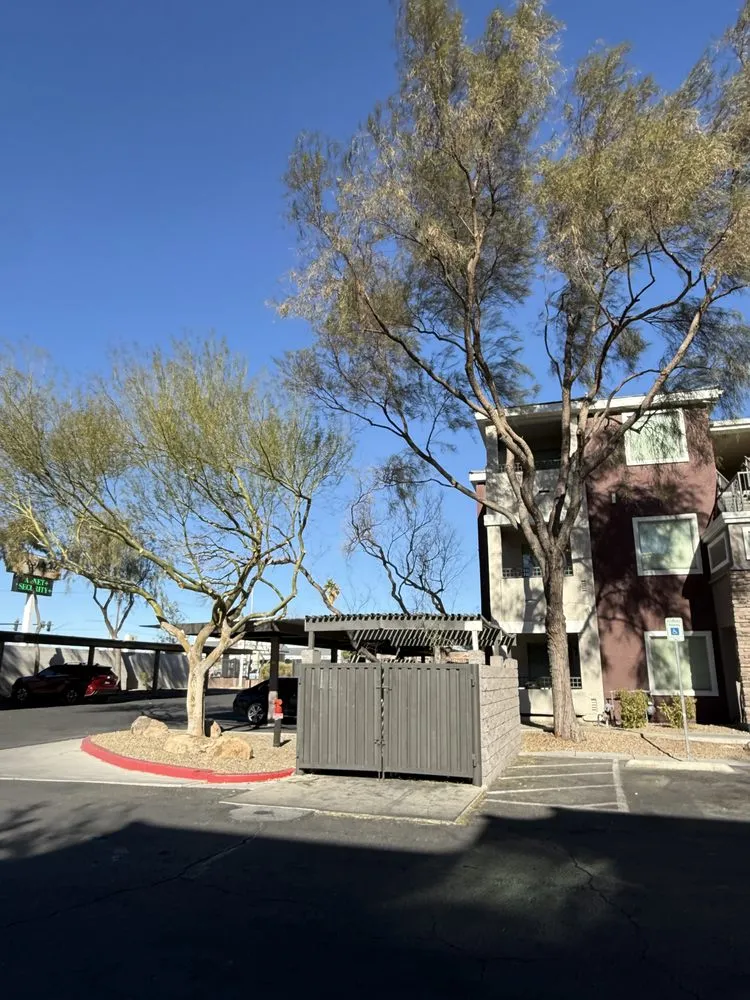 Affordable landscape installation for outdoor upgrades in Las Vegas, NV by Cabrera’s landscape