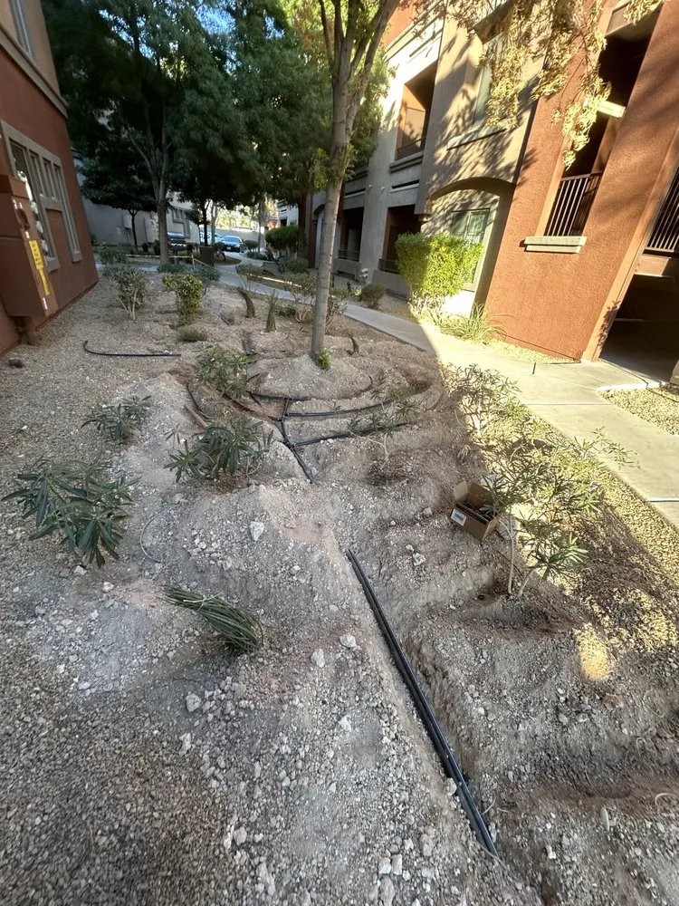 Affordable yard maintenance for beautiful yards in Las Vegas, NV by Cabrera’s landscape