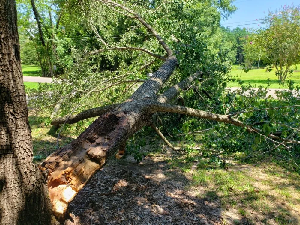 Professional yard maintenance in Pontotoc, MS by Cabrera's Landscapes