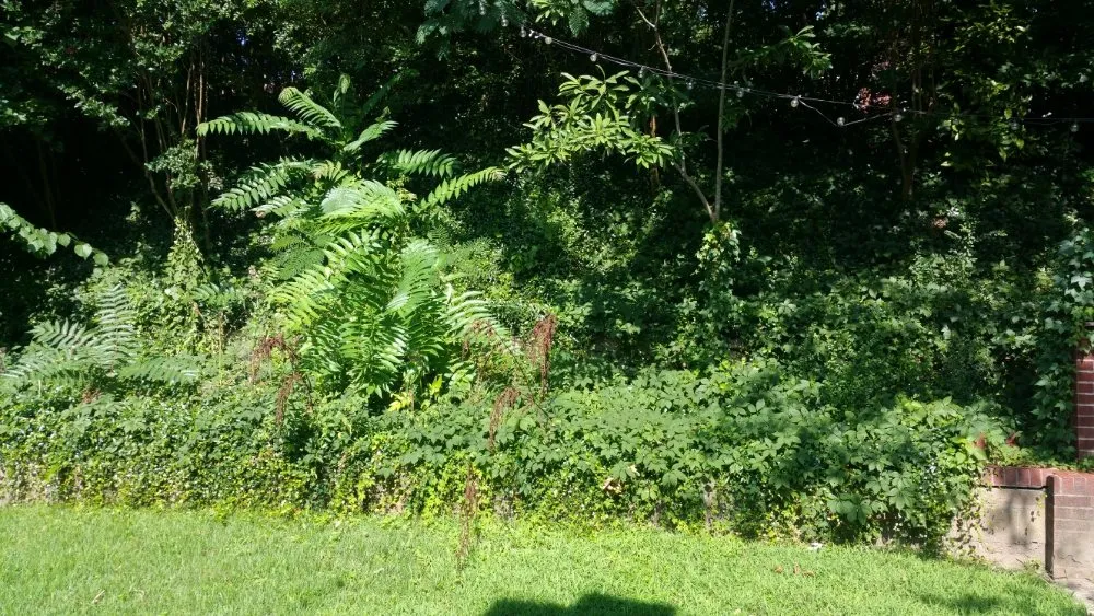 Trusted lawn care service for outdoor upgrades in Pontotoc, MS by Cabrera's Landscapes