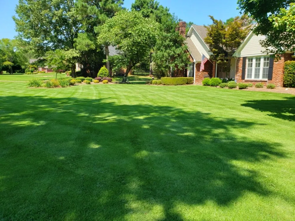 Professional yard maintenance experts serving Pontotoc, MS - Cabrera's Landscapes
