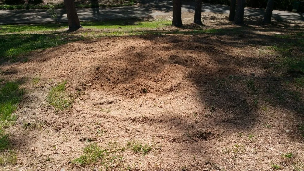 Top-rated lawn care service experts serving Pontotoc, MS - Cabrera's Landscapes