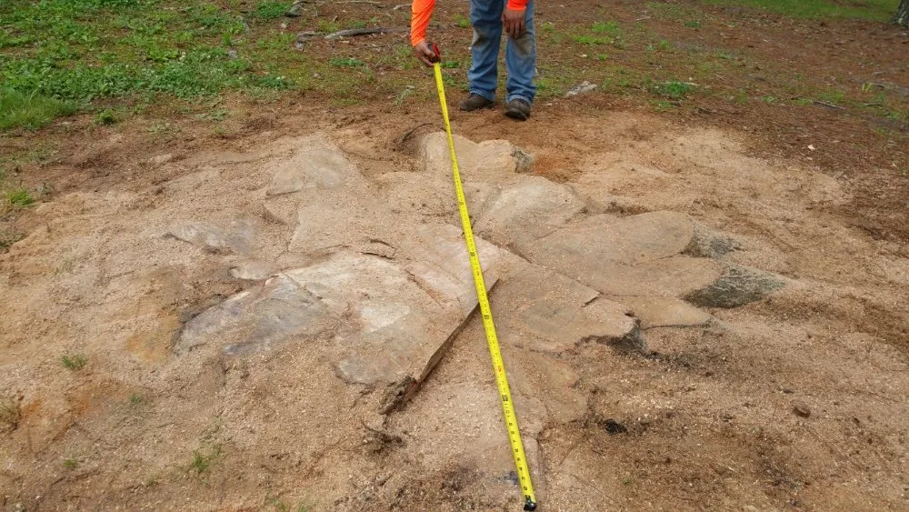 Affordable landscape design in Pontotoc, MS - Cabrera's Landscapes