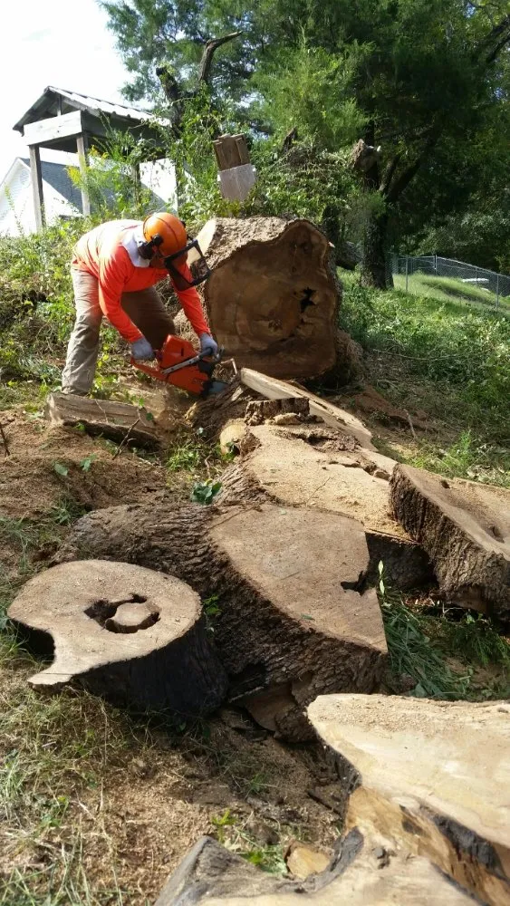 Top-rated garden landscaping near you across Pontotoc, MS - Cabrera's Landscapes