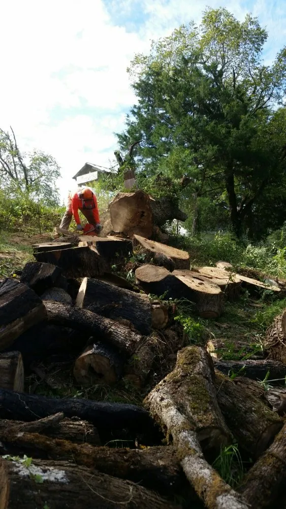 Reliable garden landscaping in Pontotoc, MS - Cabrera's Landscapes