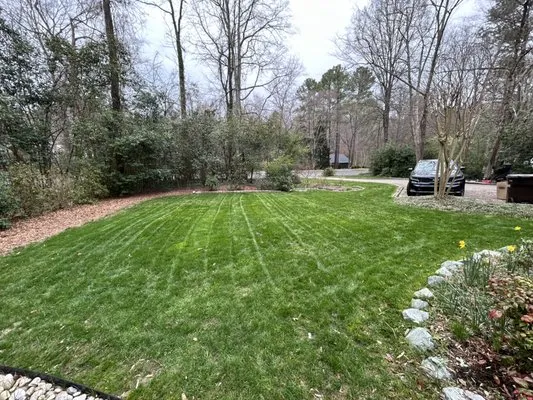 Cabrera’s scape and stone