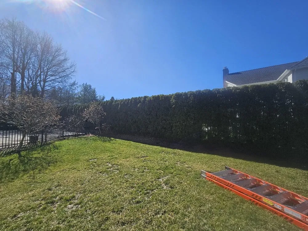 Local residential landscaping in Municipio de Howell, NJ - Cabu Landscaping