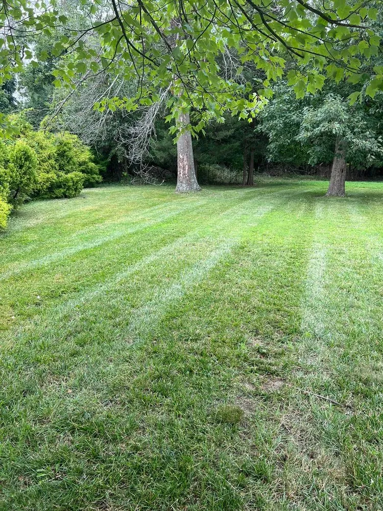Local lawn mowing service in Municipio de Howell, NJ by Cabu Landscaping
