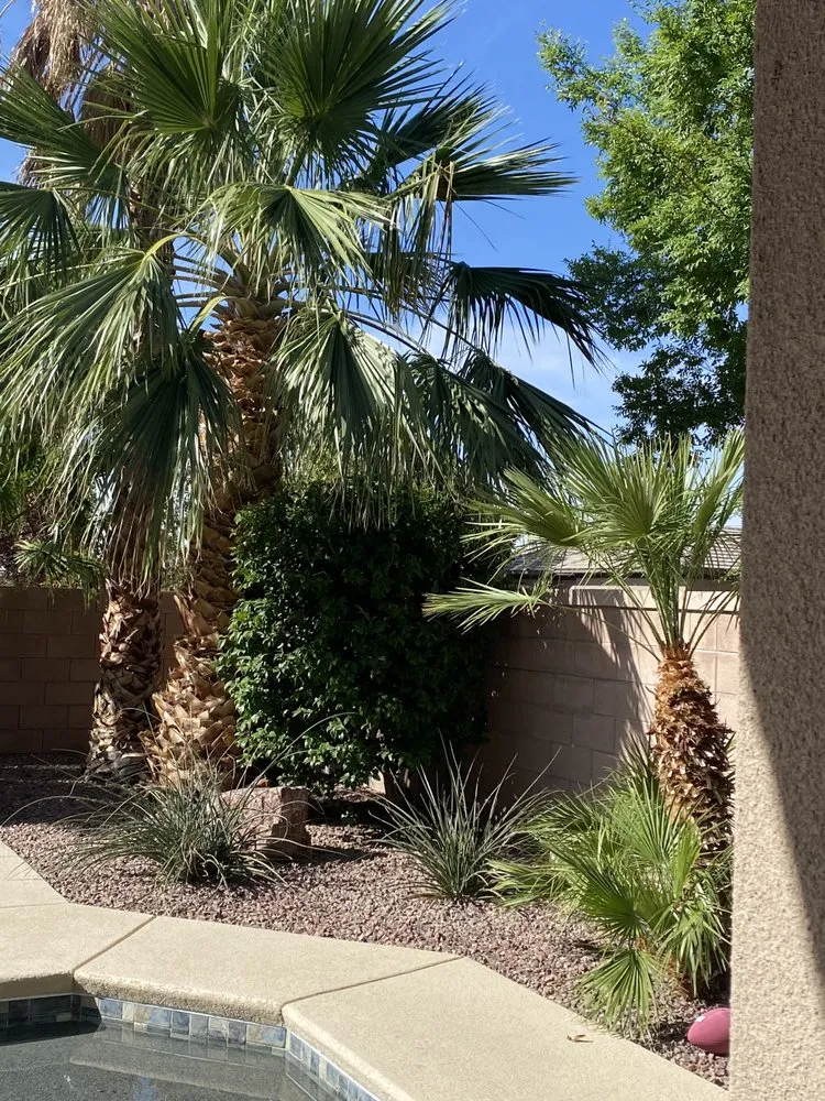 Expert lawn care service near you in Las Vegas, NV by Cacti Landscapes
