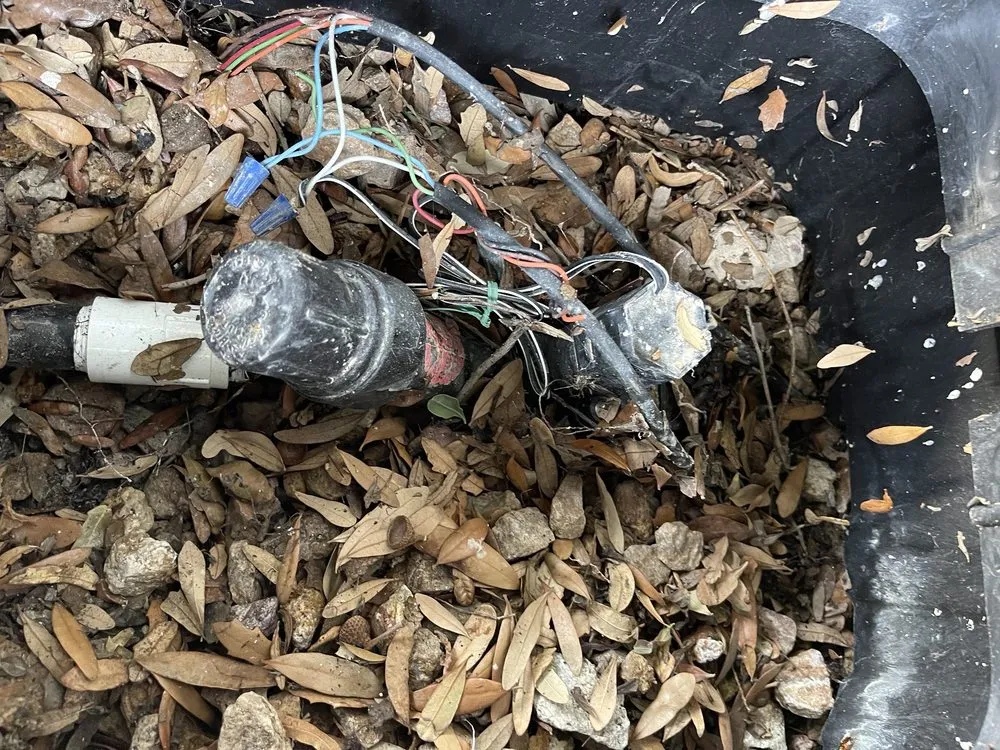 Local residential landscaping for year-round maintenance across Las Vegas, NV - Cacti Landscapes