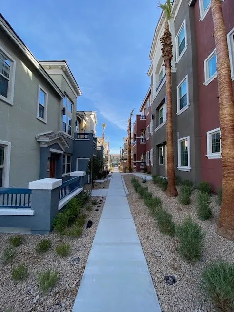 Custom landscaping services in Albuquerque, NM - Cactus & Canopy